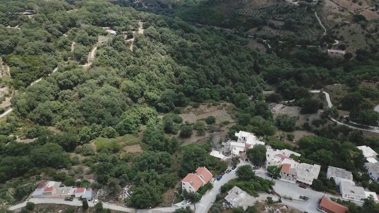 Vila Irini΄S House Alonai Exteriér fotografie