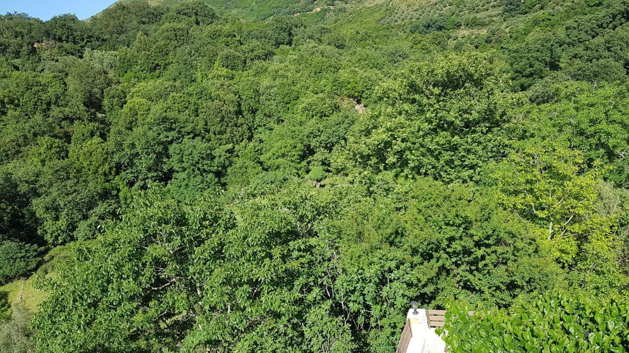 Vila Irini΄S House Alonai Exteriér fotografie